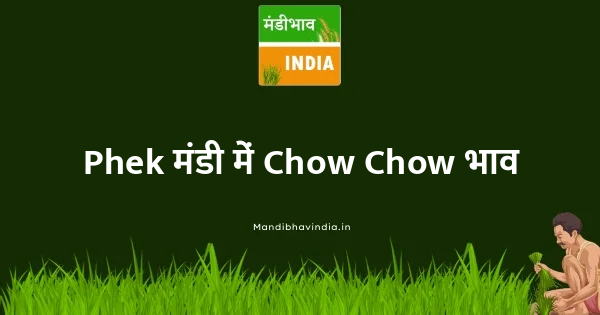 Chow Chow भाव